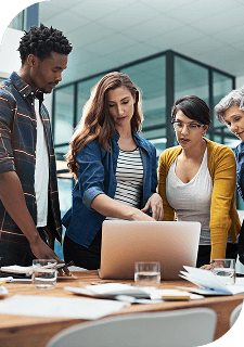 Web & App Development